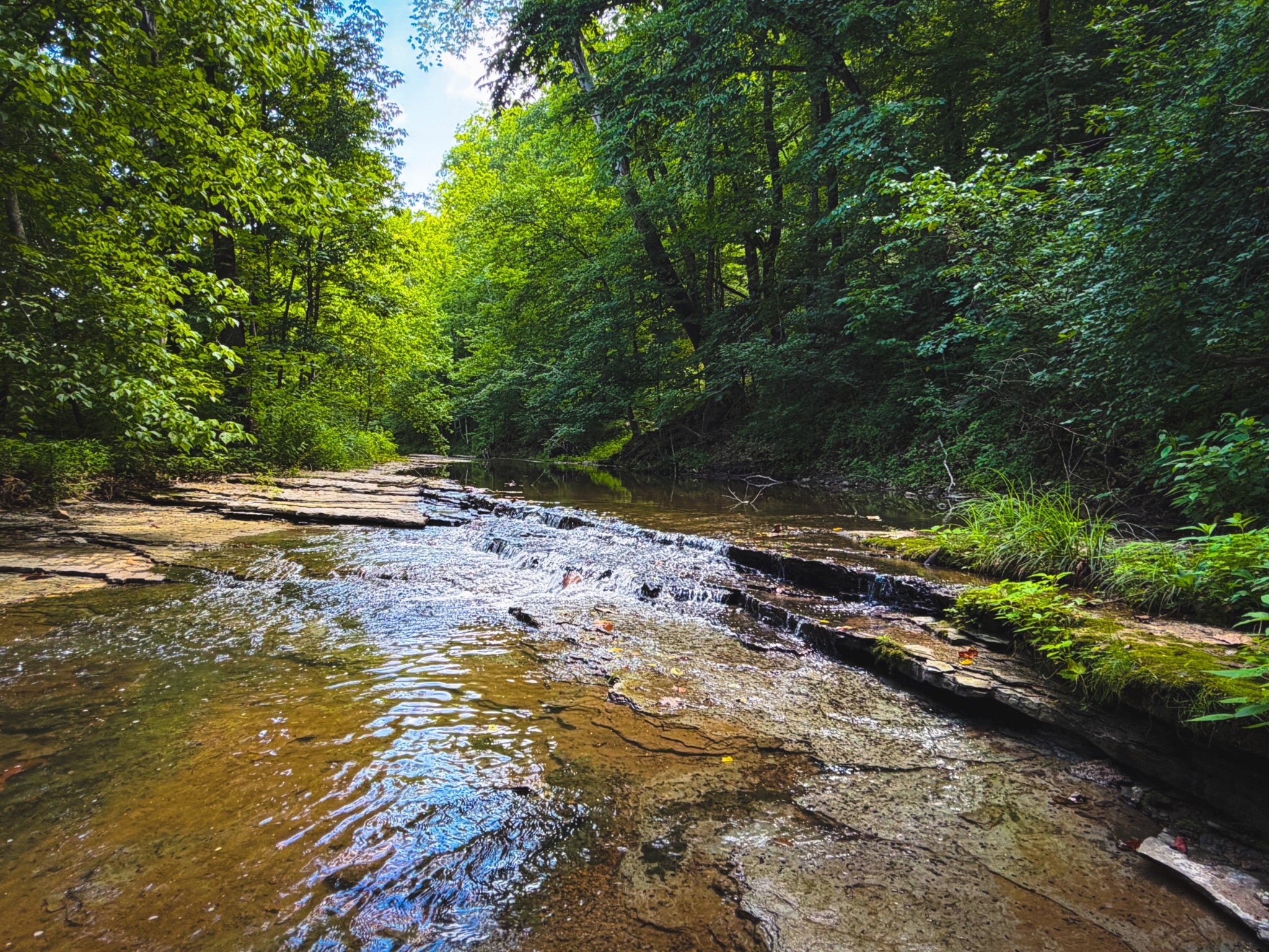 0-bed lot for sale in Franklin, TN 37064, 5 N Lick Creek Rd 5 N Lick Creek Rd, Franklin TN 37064 0-bed lot, photo 1 of 18