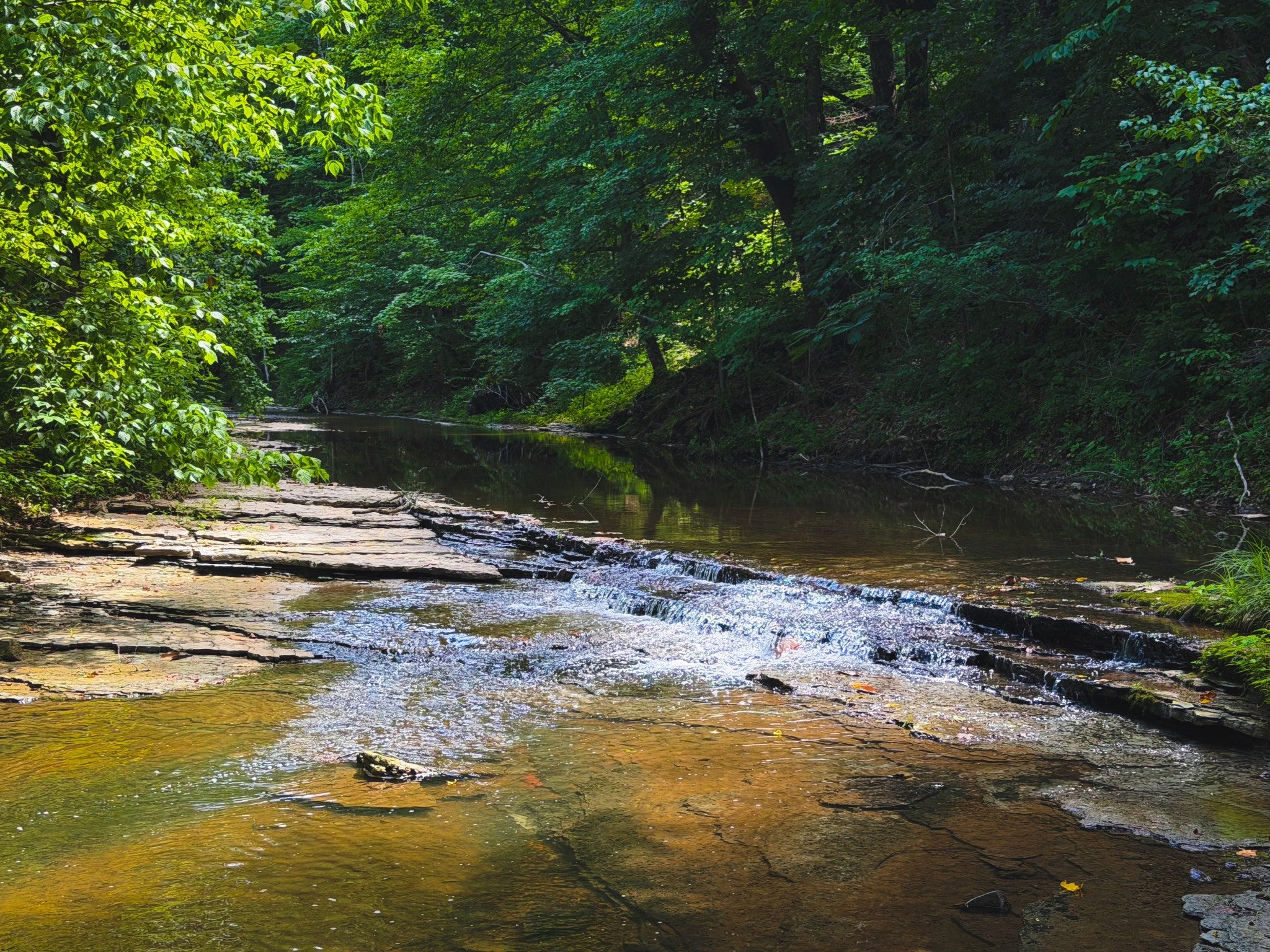 5 N Lick Creek Rd