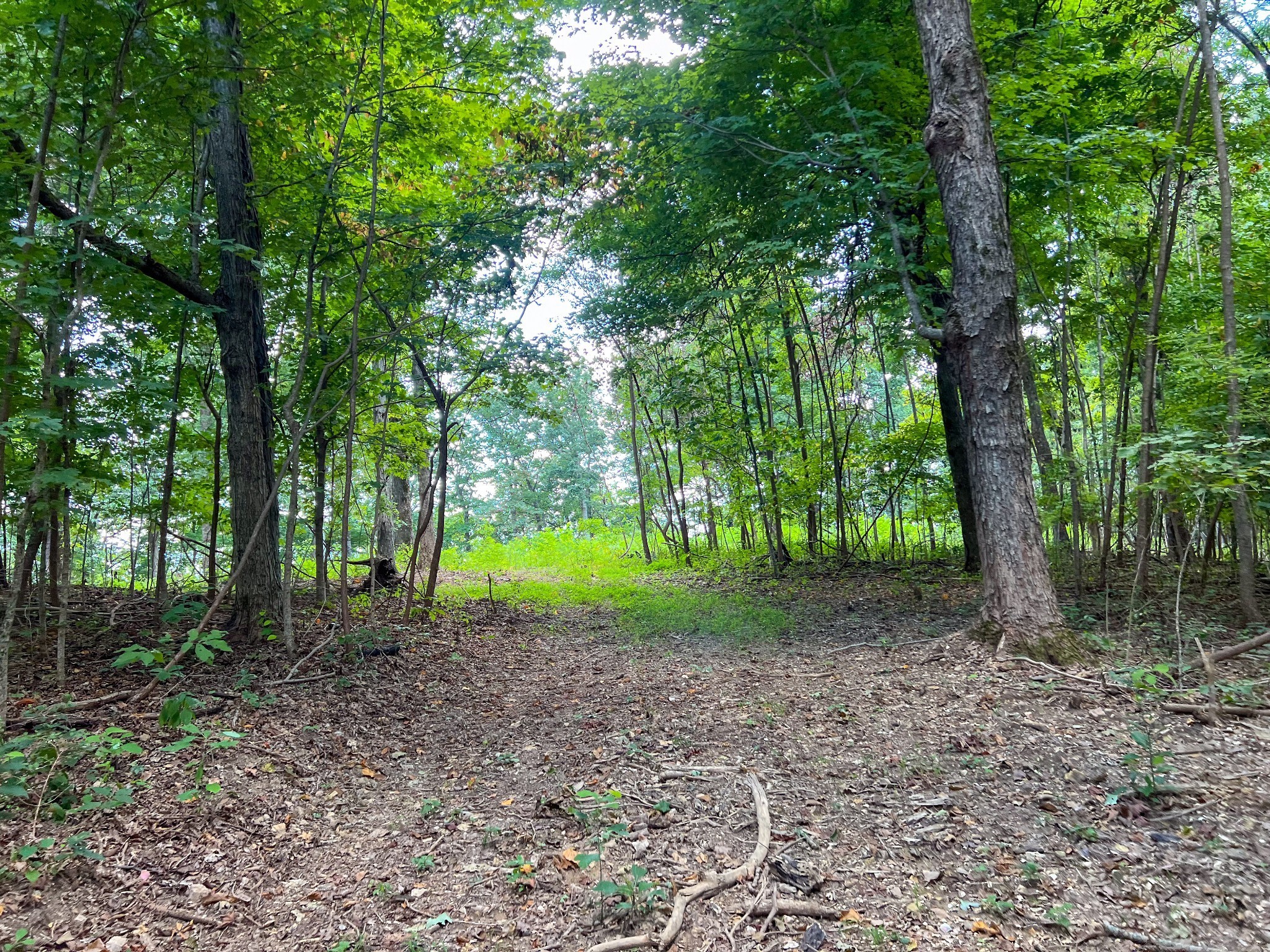Middle Tennessee Properties 4 7659 Burks Rd