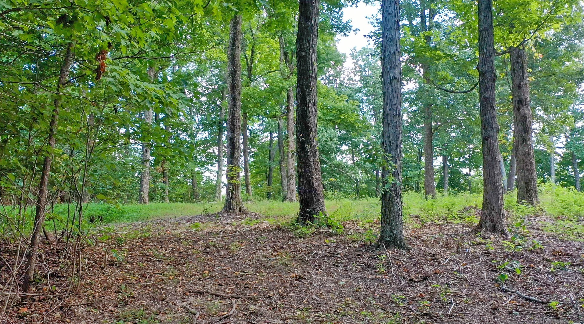 Middle Tennessee Properties 1 7659 Burks Rd