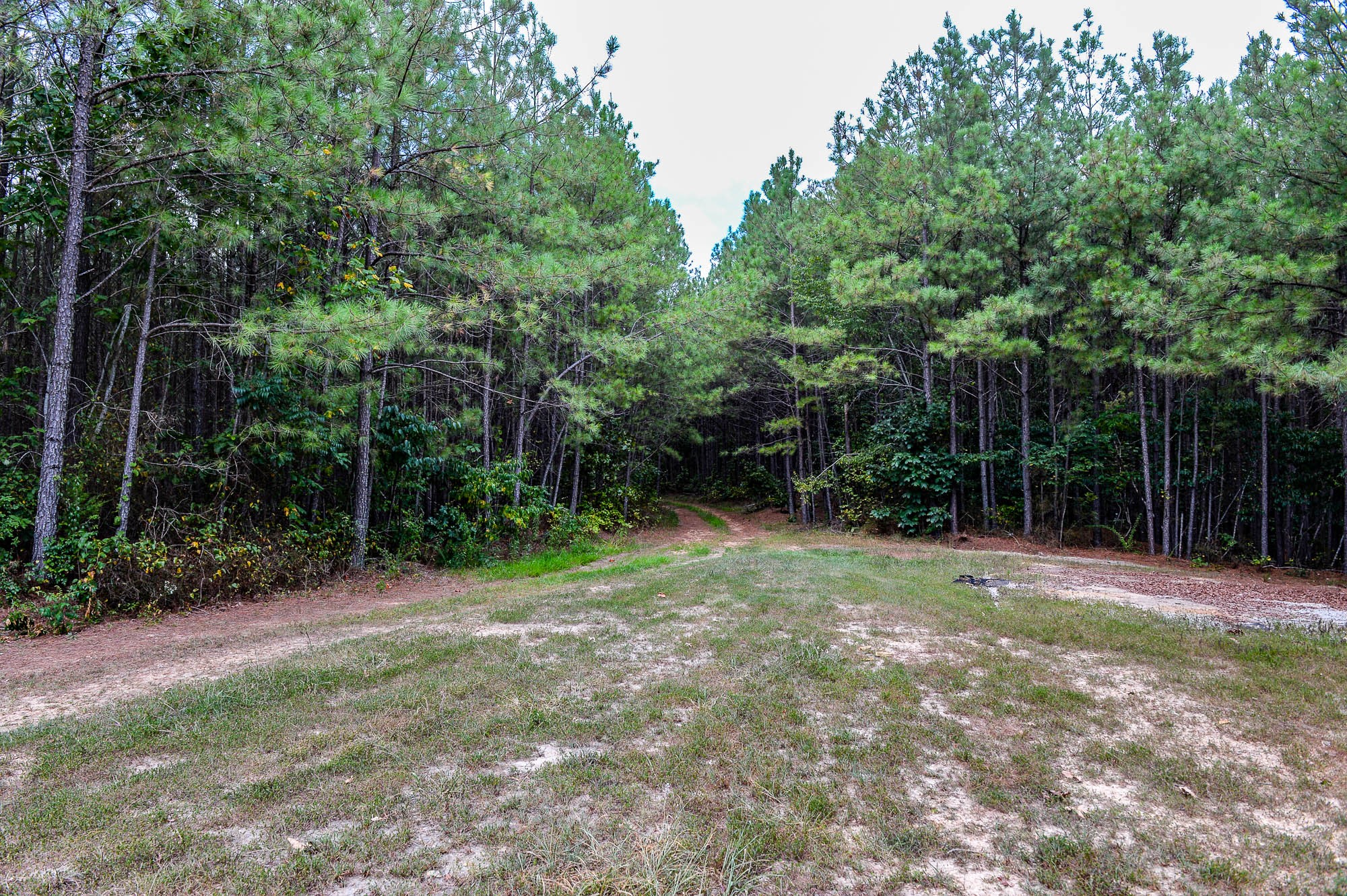 0 Brush Creek Road