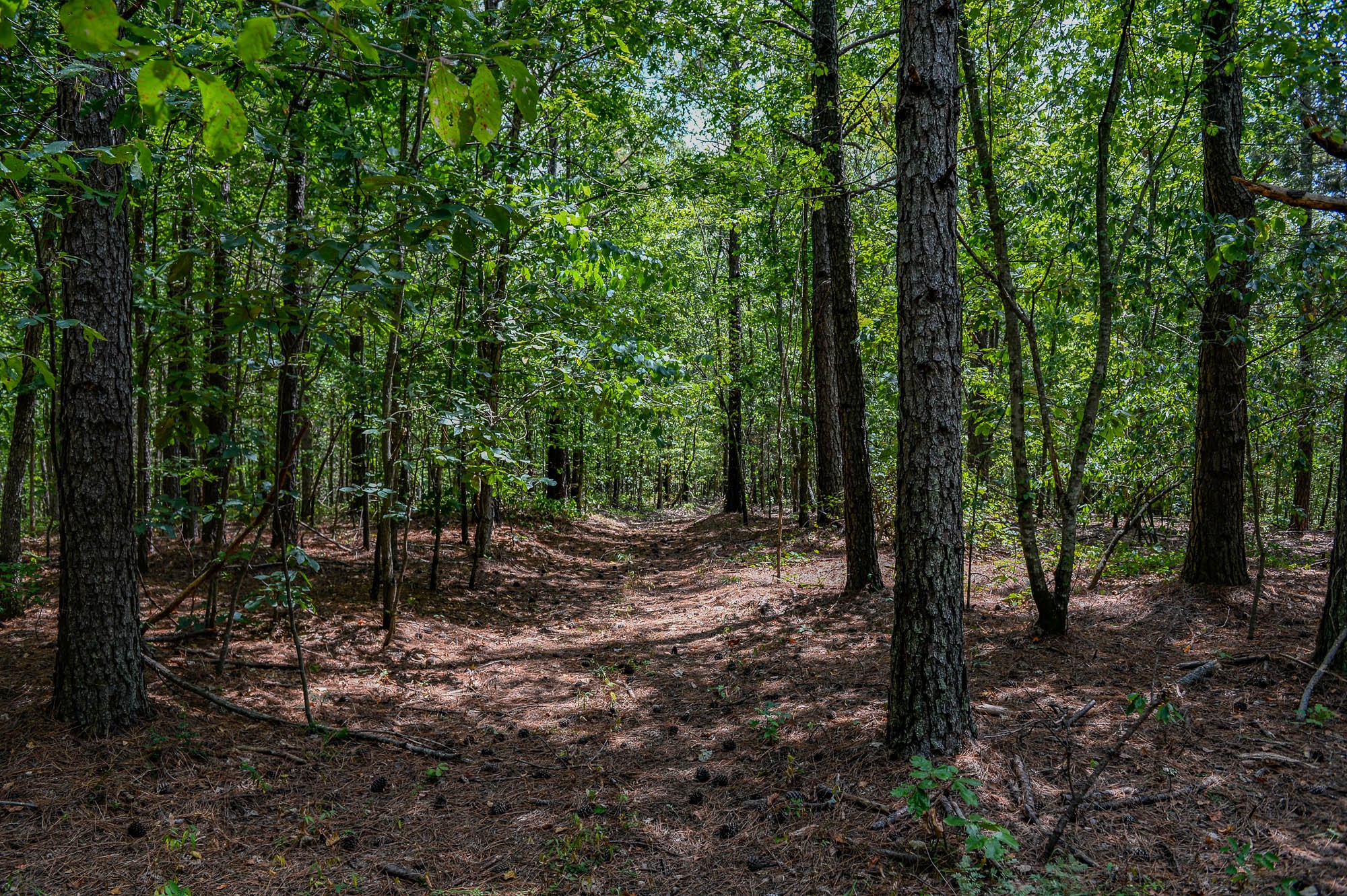 0 Brush Creek Road