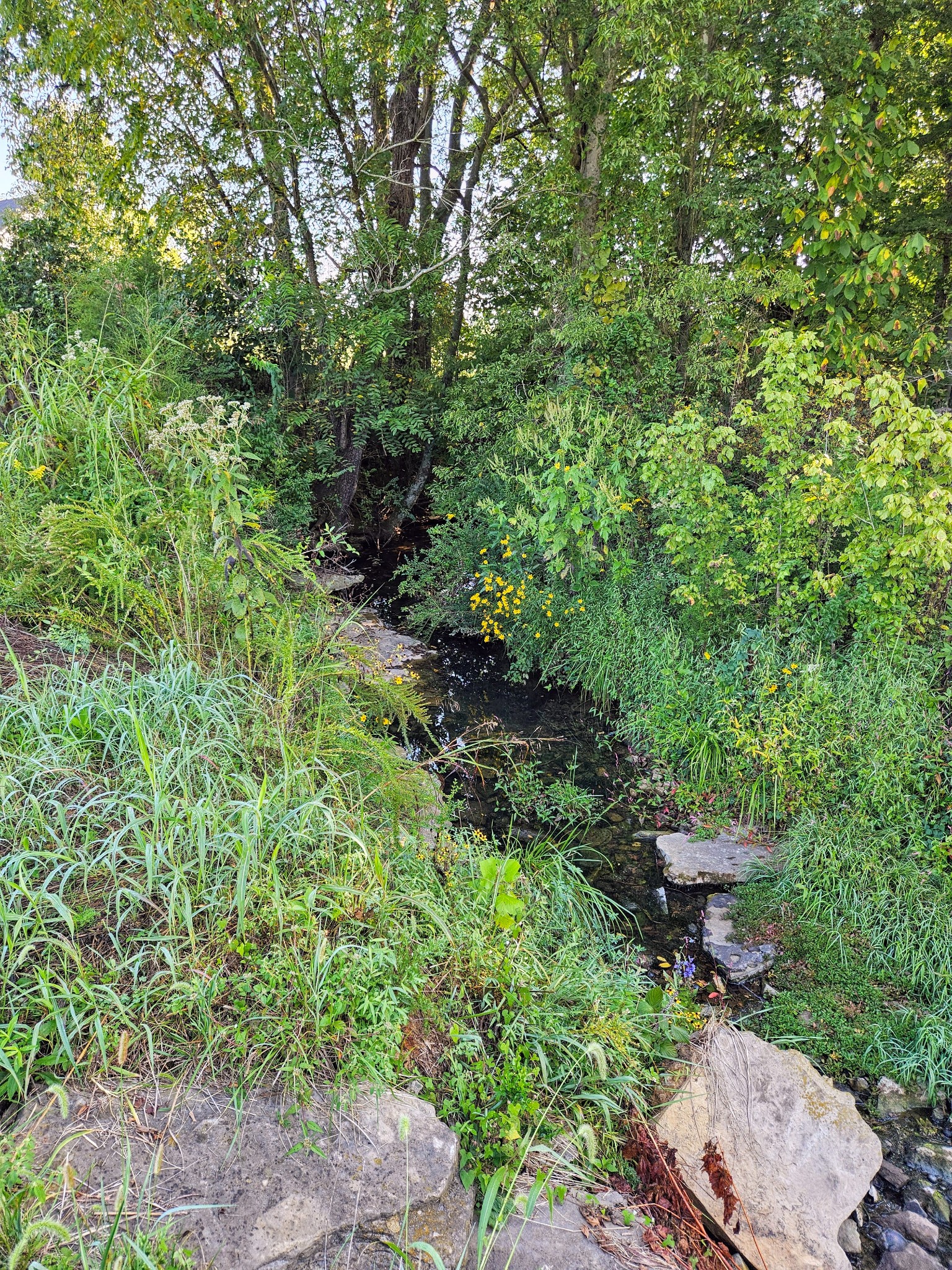 536 Martin Chapel Rd