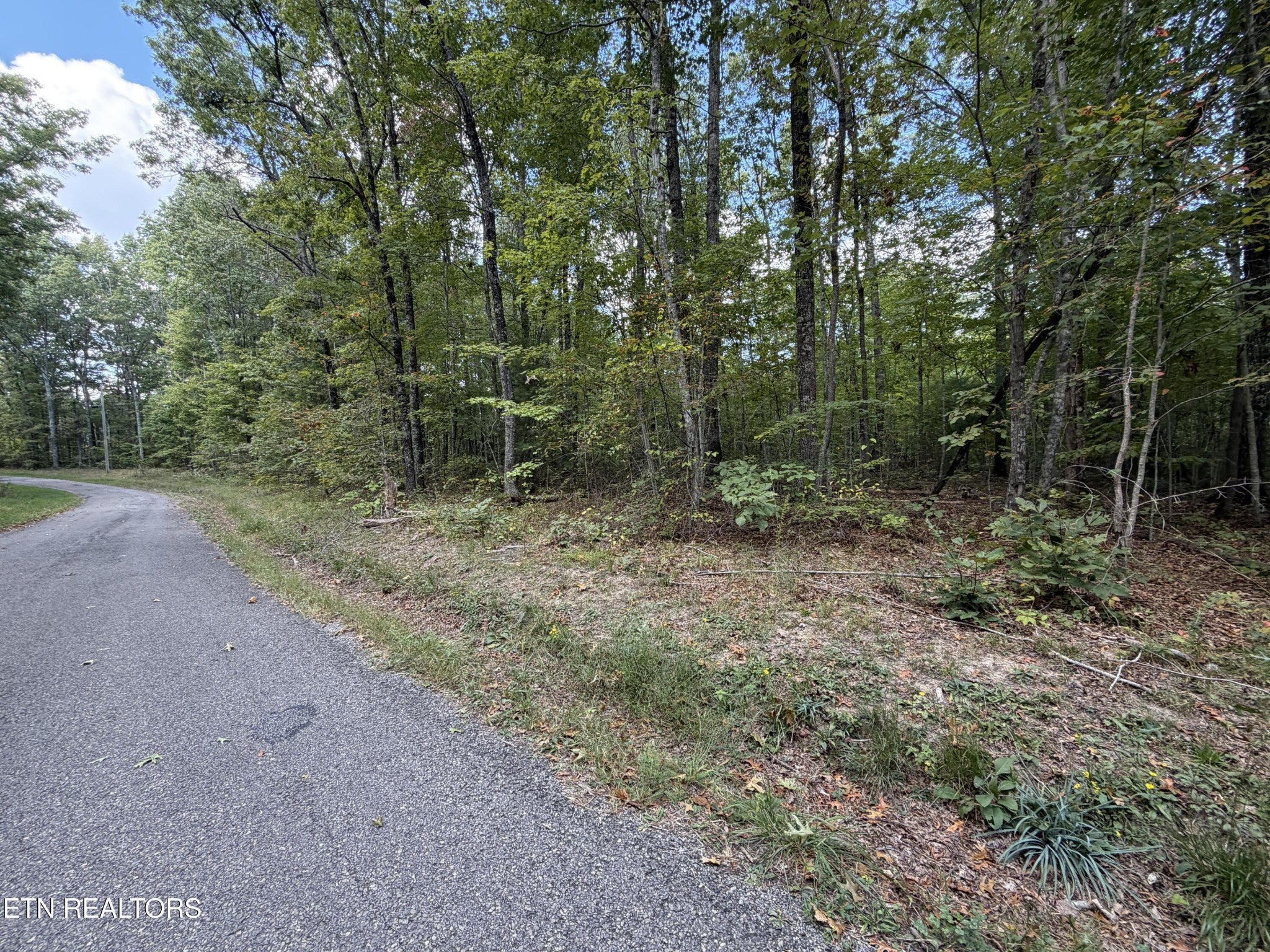806 Horse Creek Rd