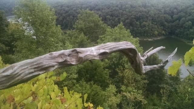 0 Cedar Creek Road