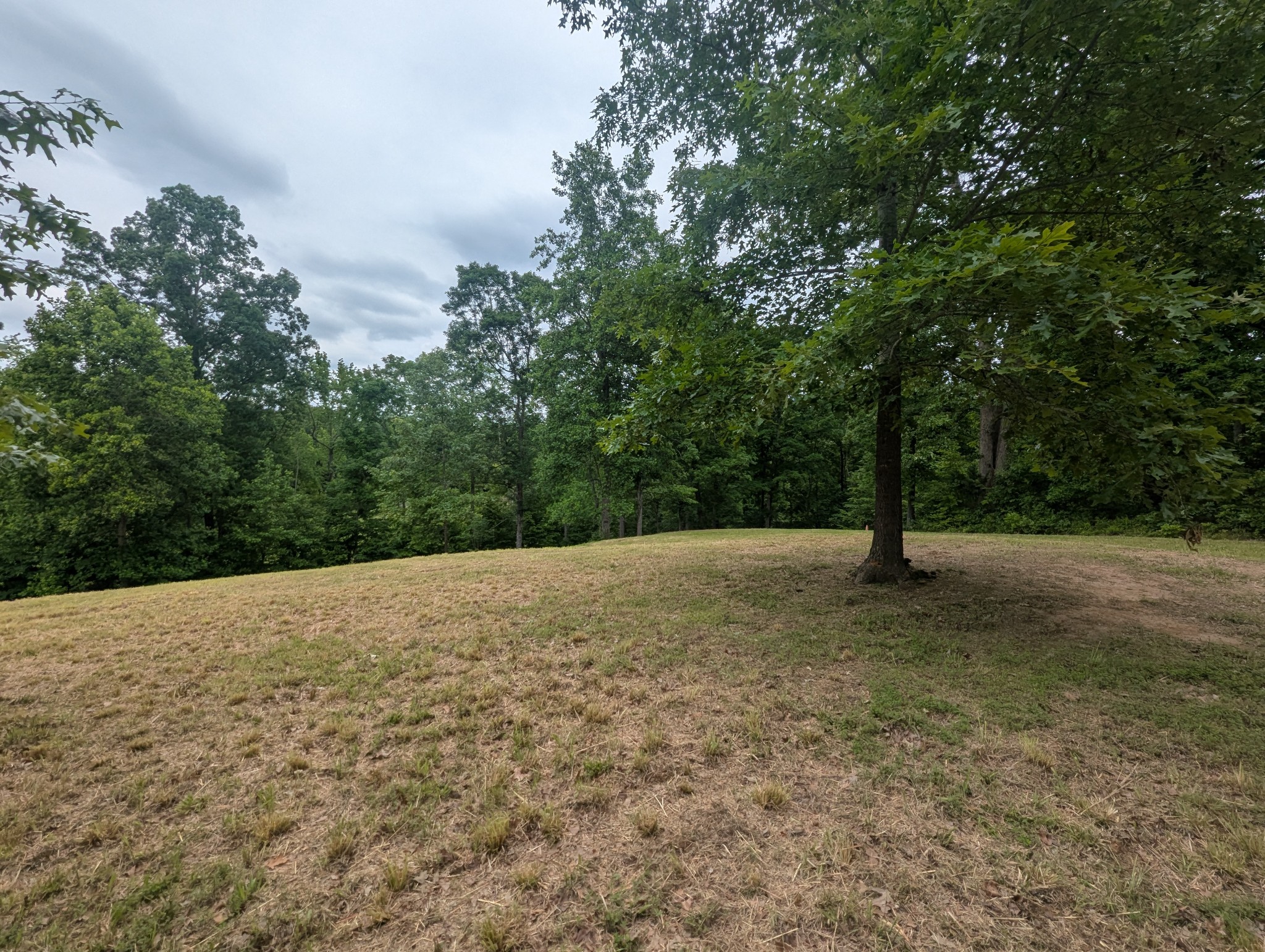 0 Partridge Point