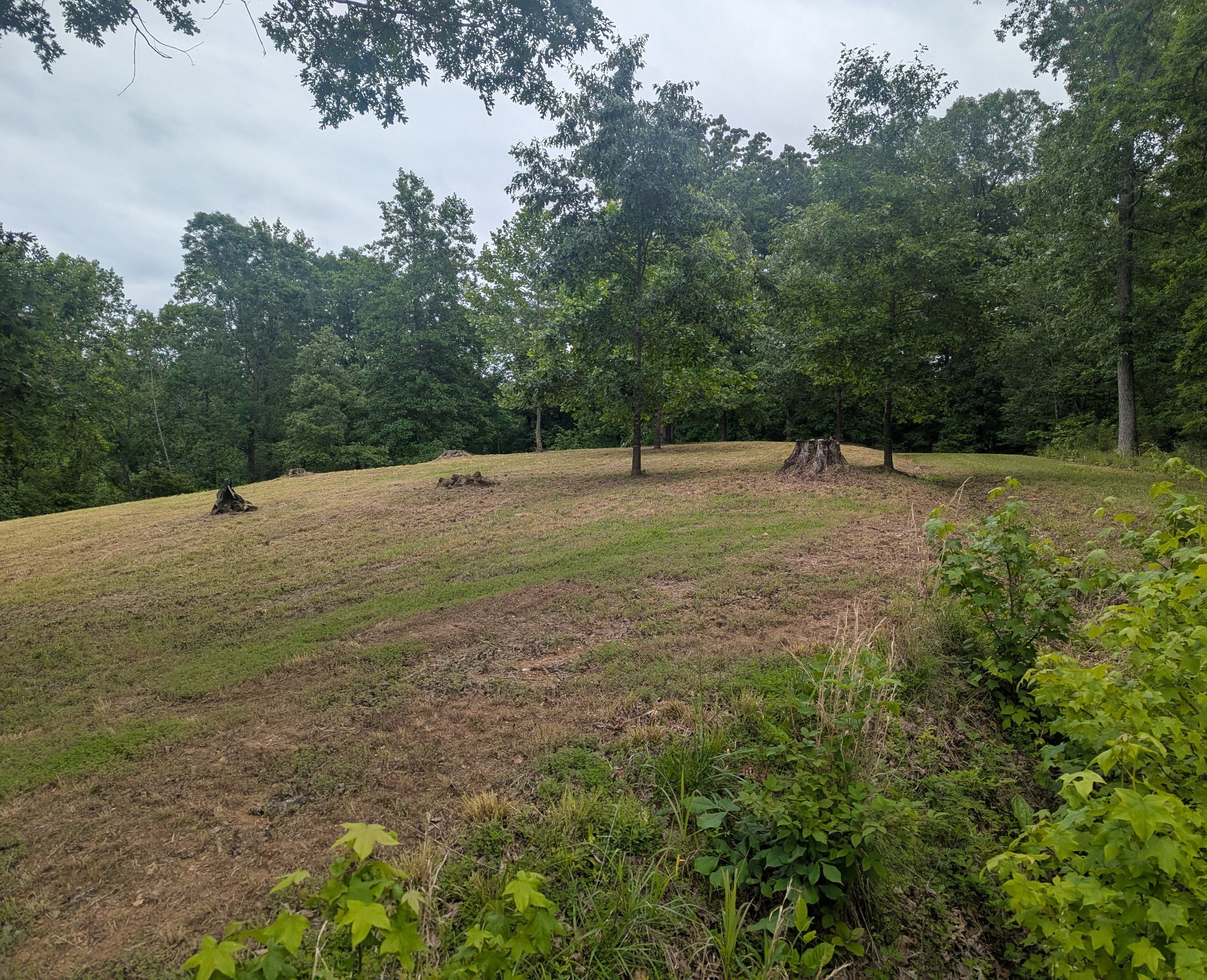 0 Partridge Point