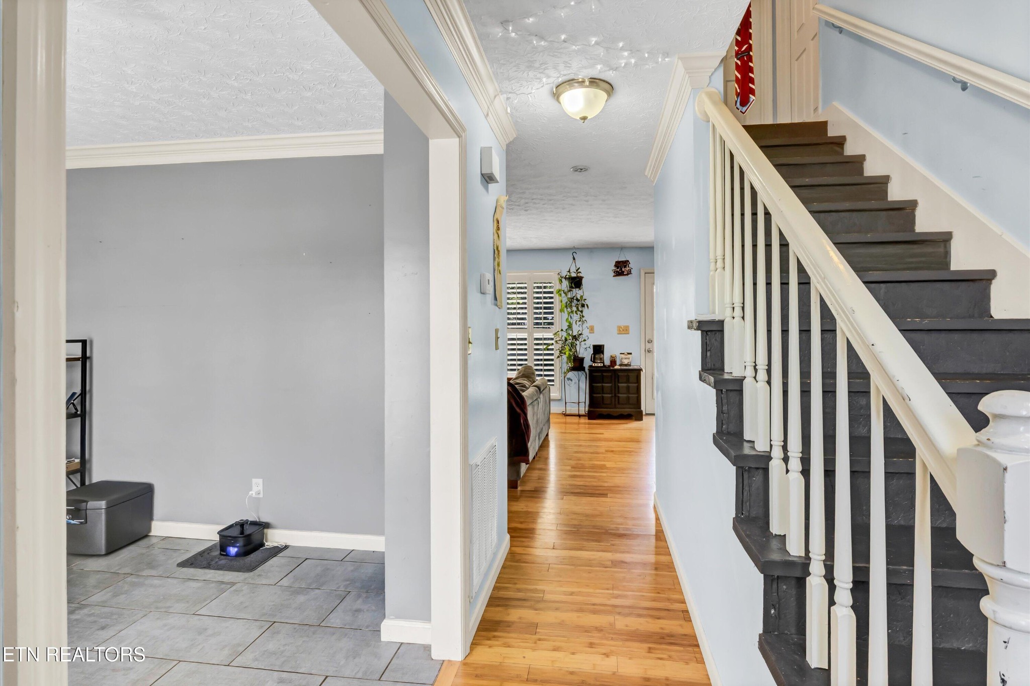 1517 Randall Park Drive