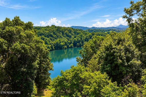 ROCK HOUSE RD, KODAK, TN 37764 - Image 0ba2f250a8d894b2d0bb99842cf7c6ef/2233414565