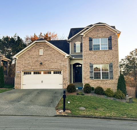 Photo of 317 Whitman Ct, Nolensville, TN 37135 (MLS # 3137808)