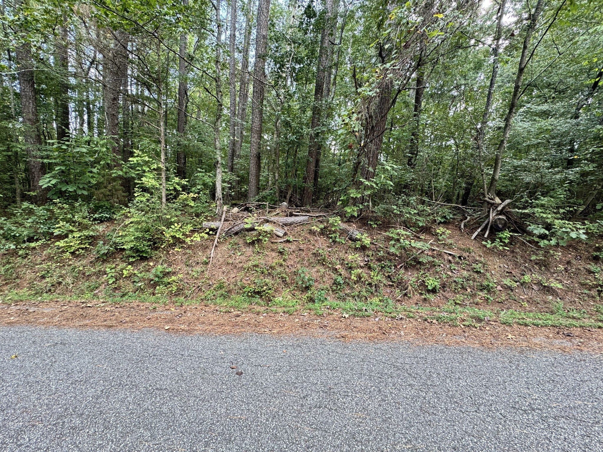 0 Forest Trail