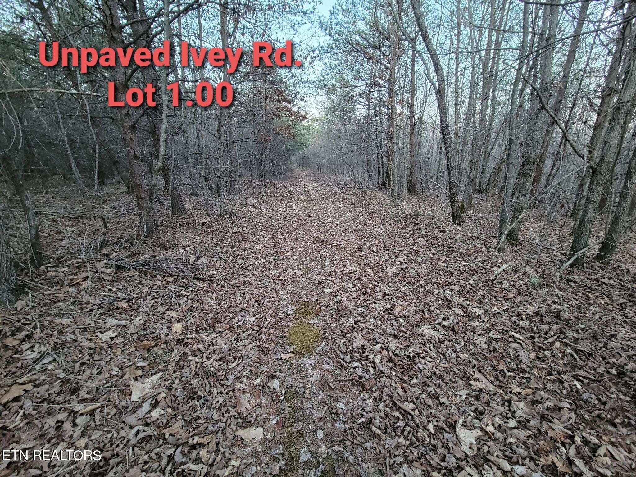 0 IVEY ROAD HWY 127 N OFF