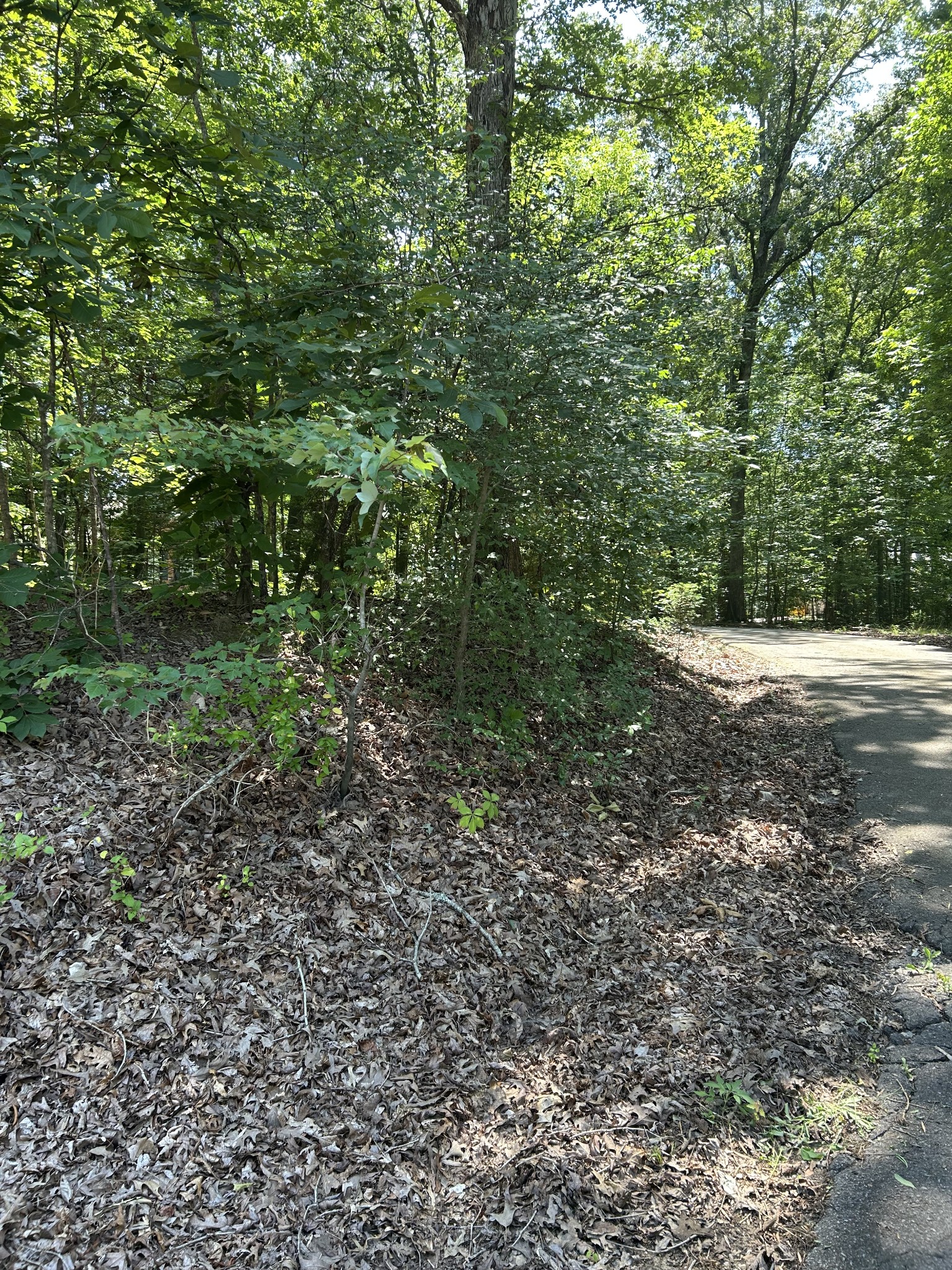 825 Hwy 96 N