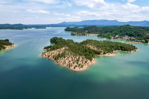 0 Douglas Lake Island Sevierville TN 37876