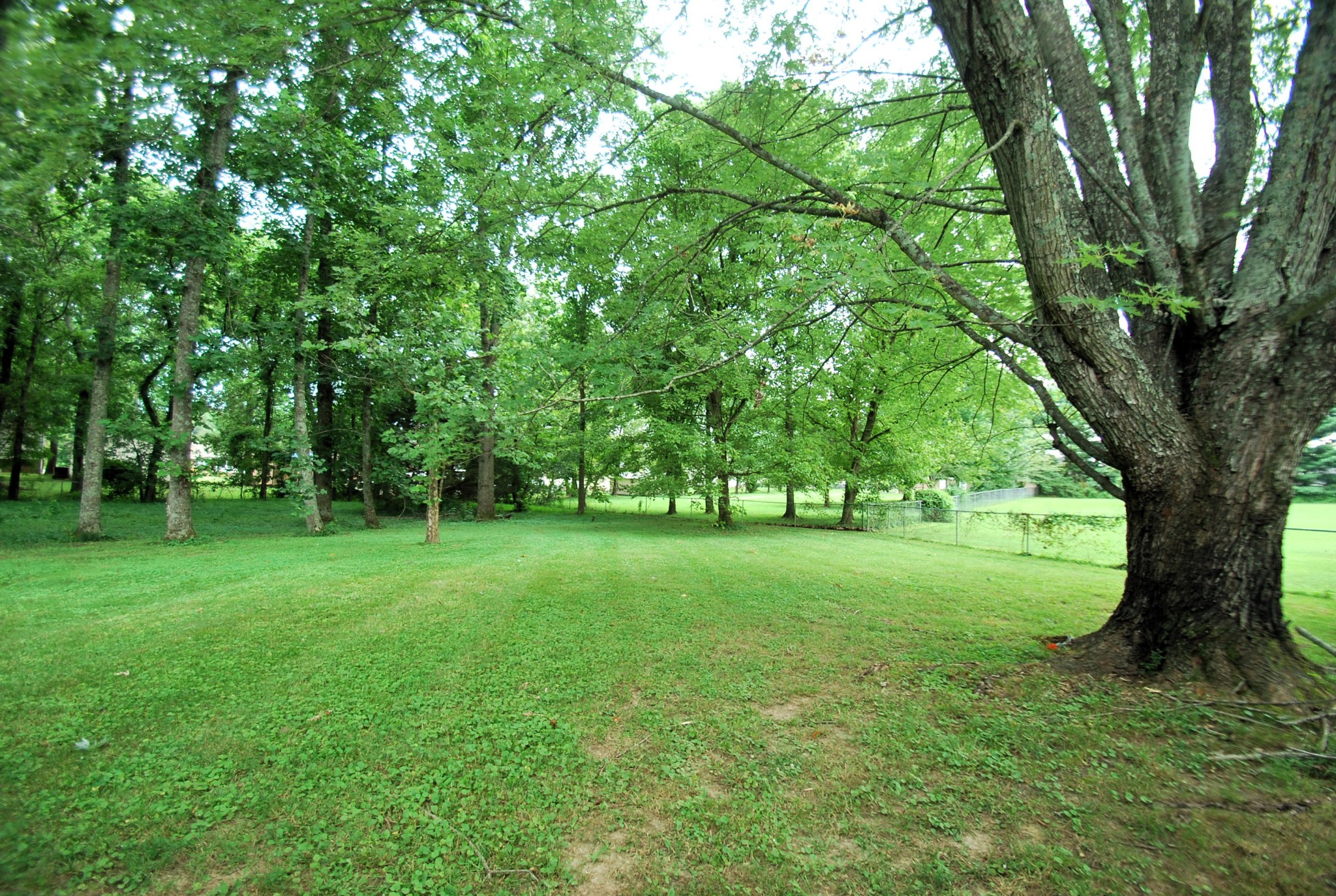 101 Laura Dr