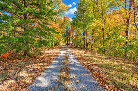 Photo of 1650 Primm Rd, Ashland City, TN 37015 (MLS # 3628669)