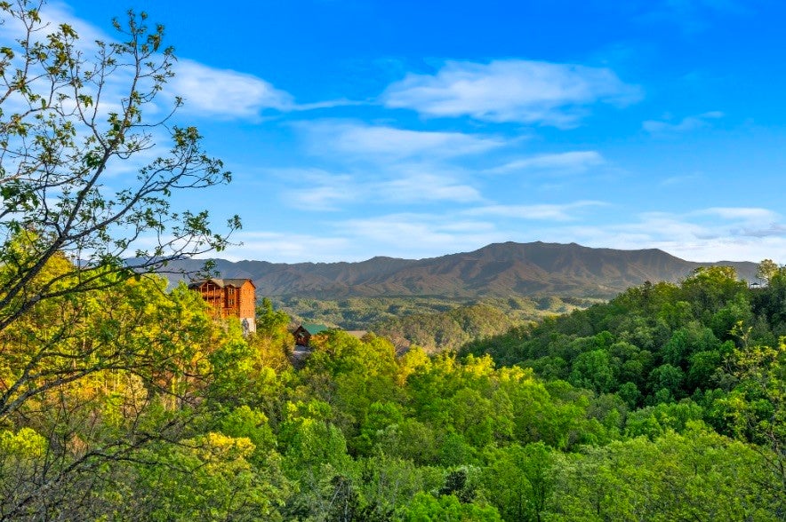 3159 Legacy Vista Drive 130R