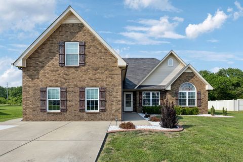 2605 Decatur Ln Christiana TN 37037