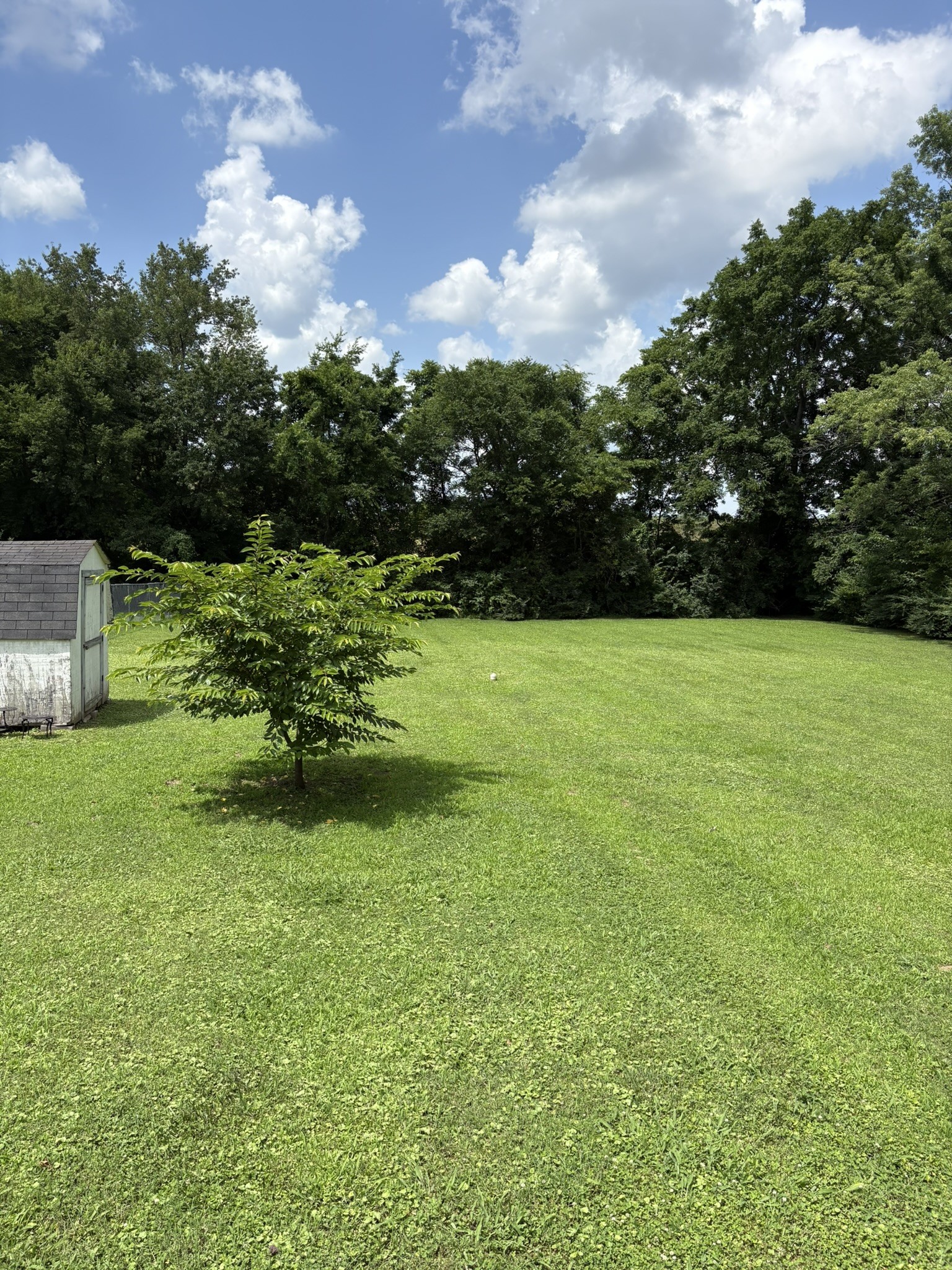 1904 Dahlia Dr