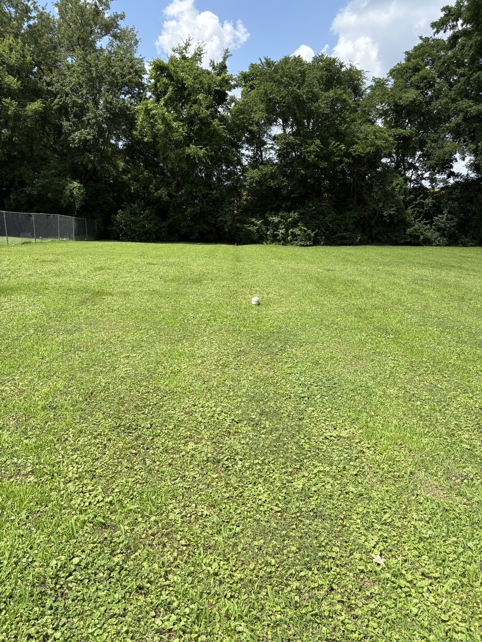 1904 Dahlia Dr