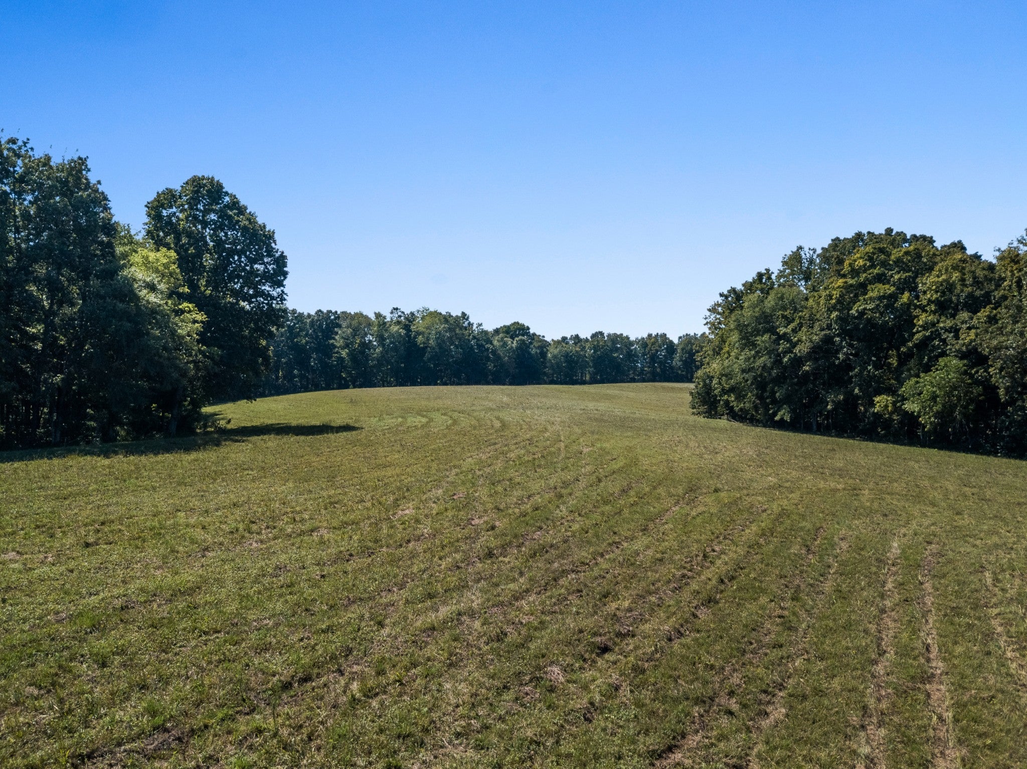 4 Albert Fentress Rd