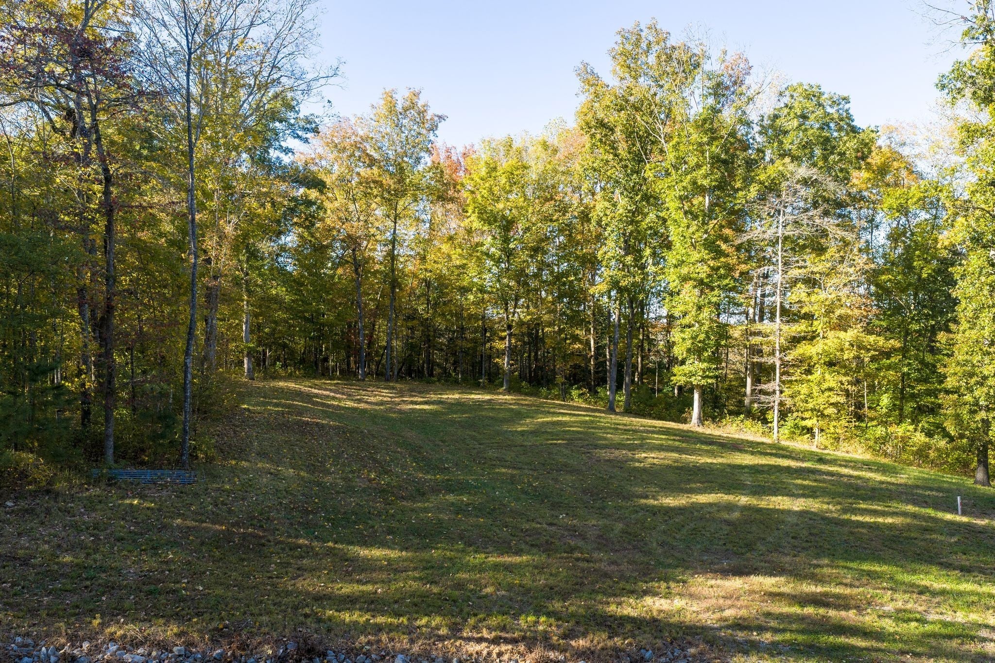 0-bed lot for sale in Fairview, TN 37062, 7483 Liberty Rd 7483 Liberty Rd, Fairview TN 37062 0-bed lot, photo 3 of 14
