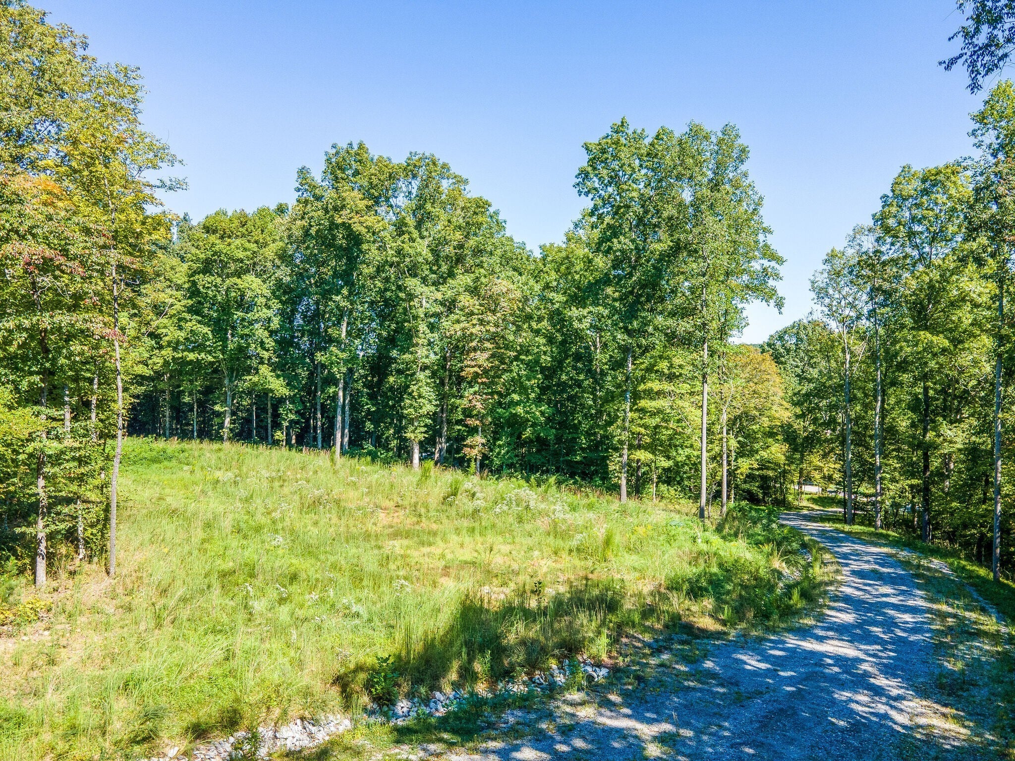 0-bed lot for sale in Fairview, TN 37062, 7483 Liberty Rd 7483 Liberty Rd, Fairview TN 37062 0-bed lot, photo 4 of 14