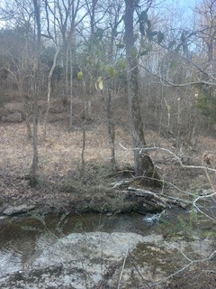 0 Glasgow Branch Road