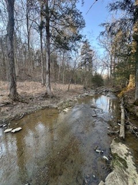 0 Glasgow Branch Road Hartsville TN 37074