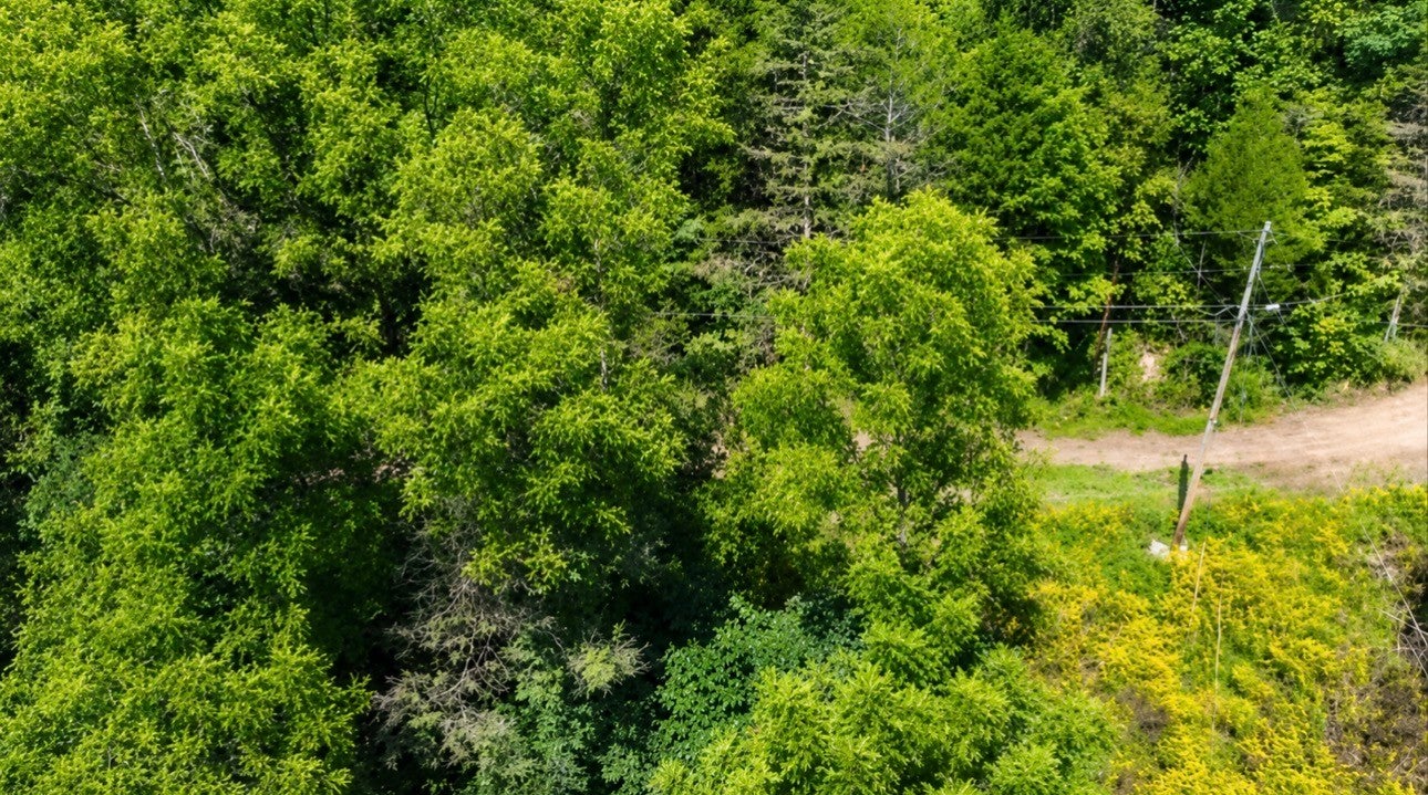 465 Halls Hollow Rd