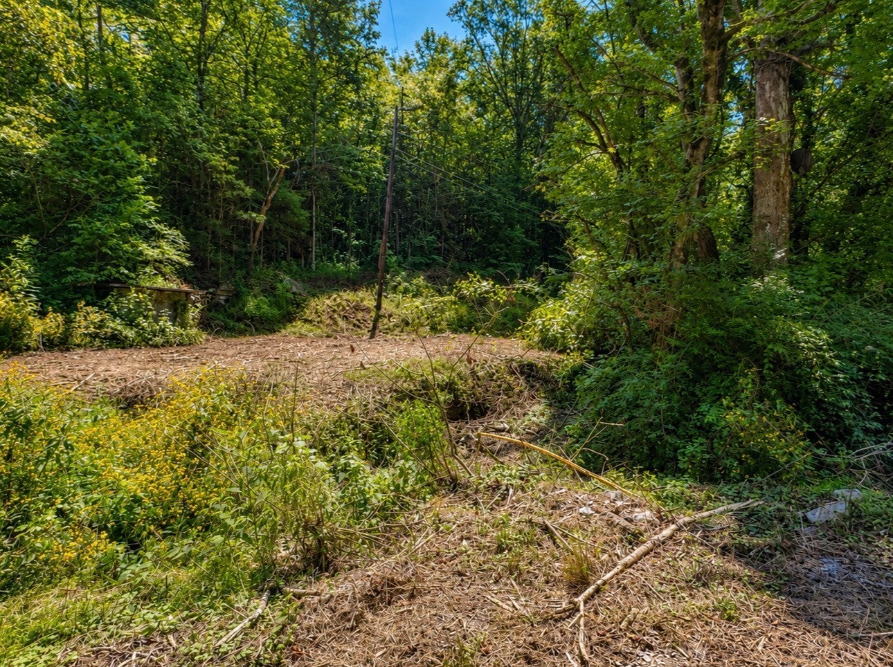 465 Halls Hollow Rd