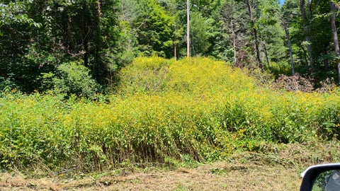 465 Halls Hollow Rd Smithville TN 37166
