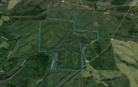 0 State Line Road Iron City TN 38463