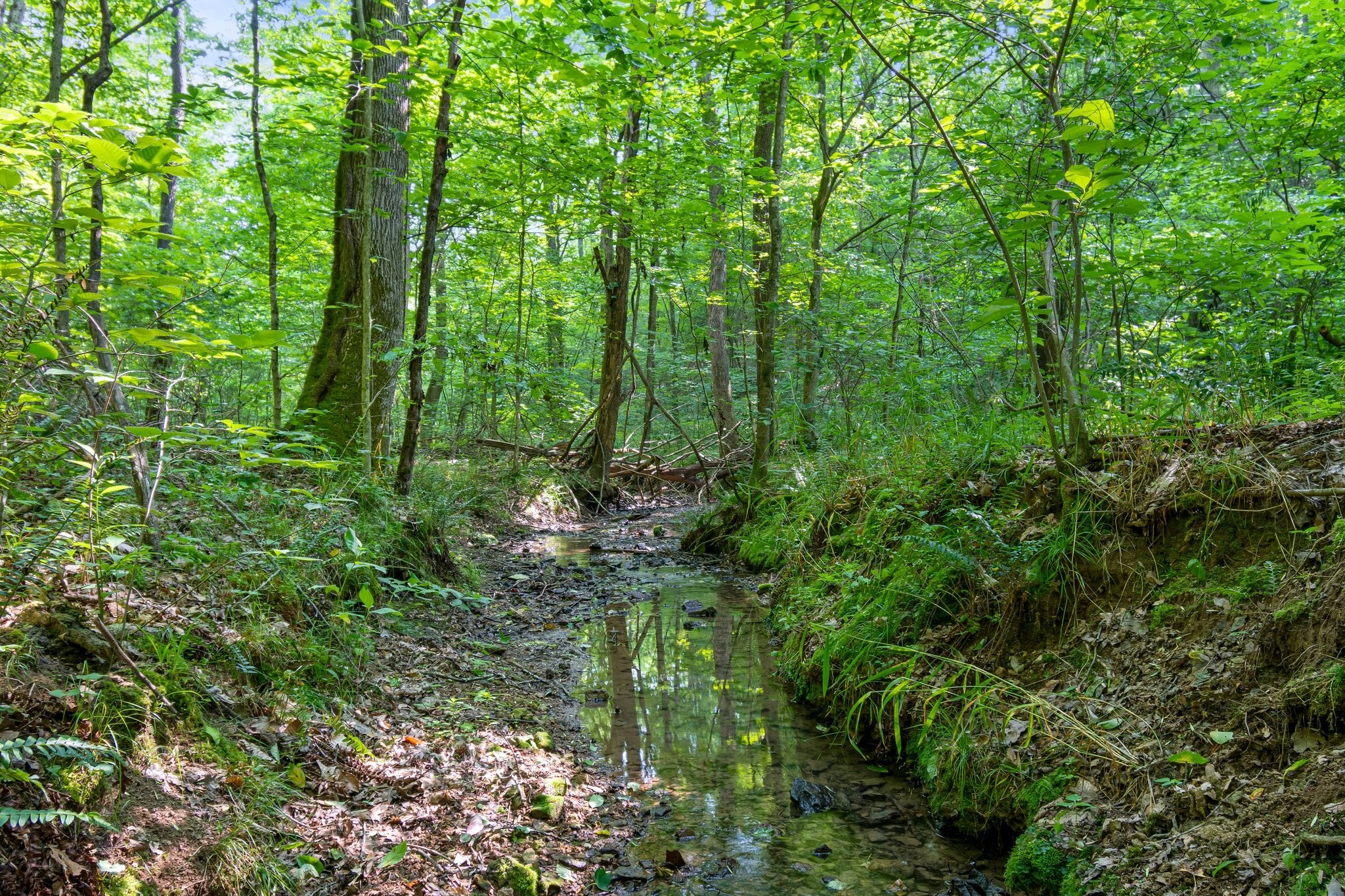 0 Smith Hollow Road