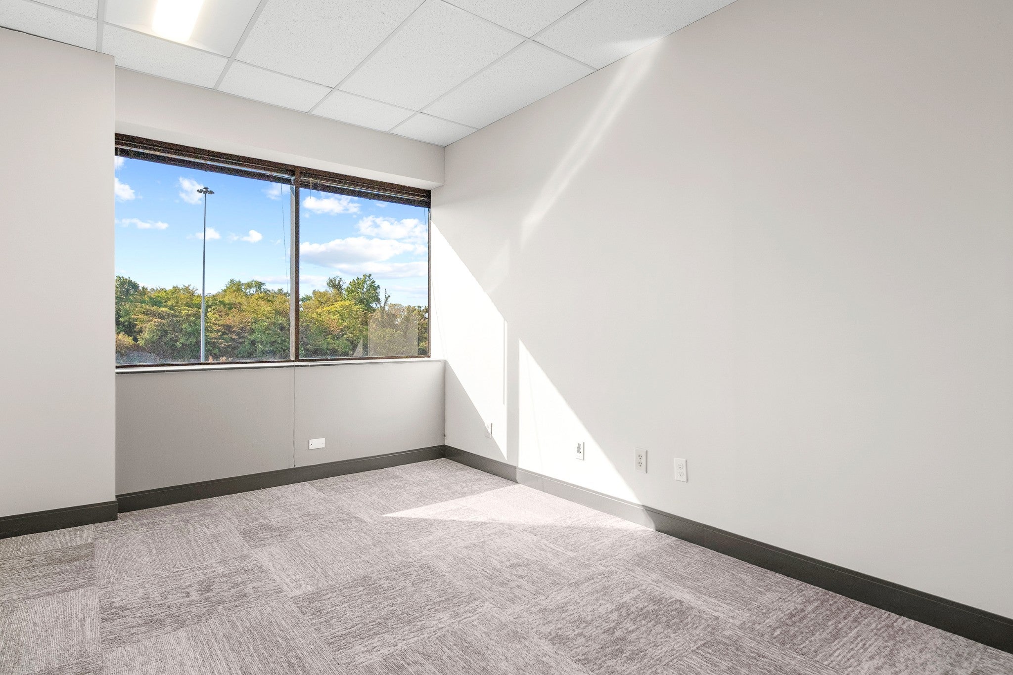 311 Plus Park Blvd