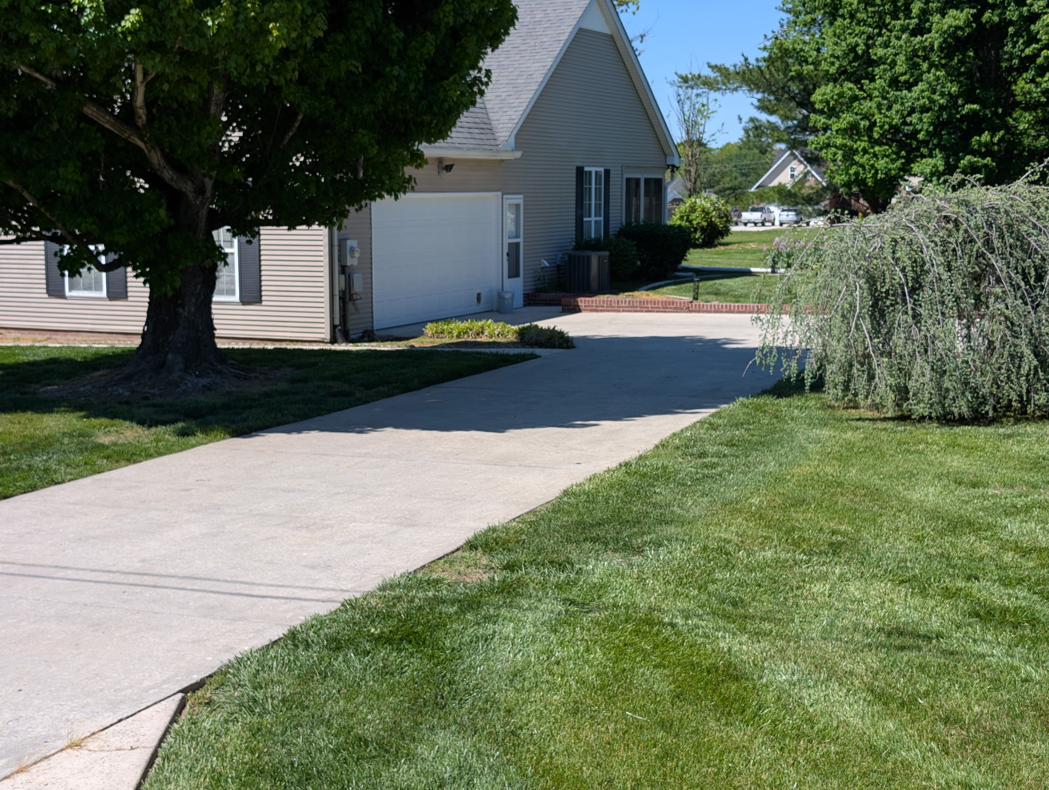 213 Maple Springs Dr