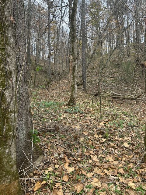 0 Red Boiling Road  Springs Red Boiling Springs TN 37150