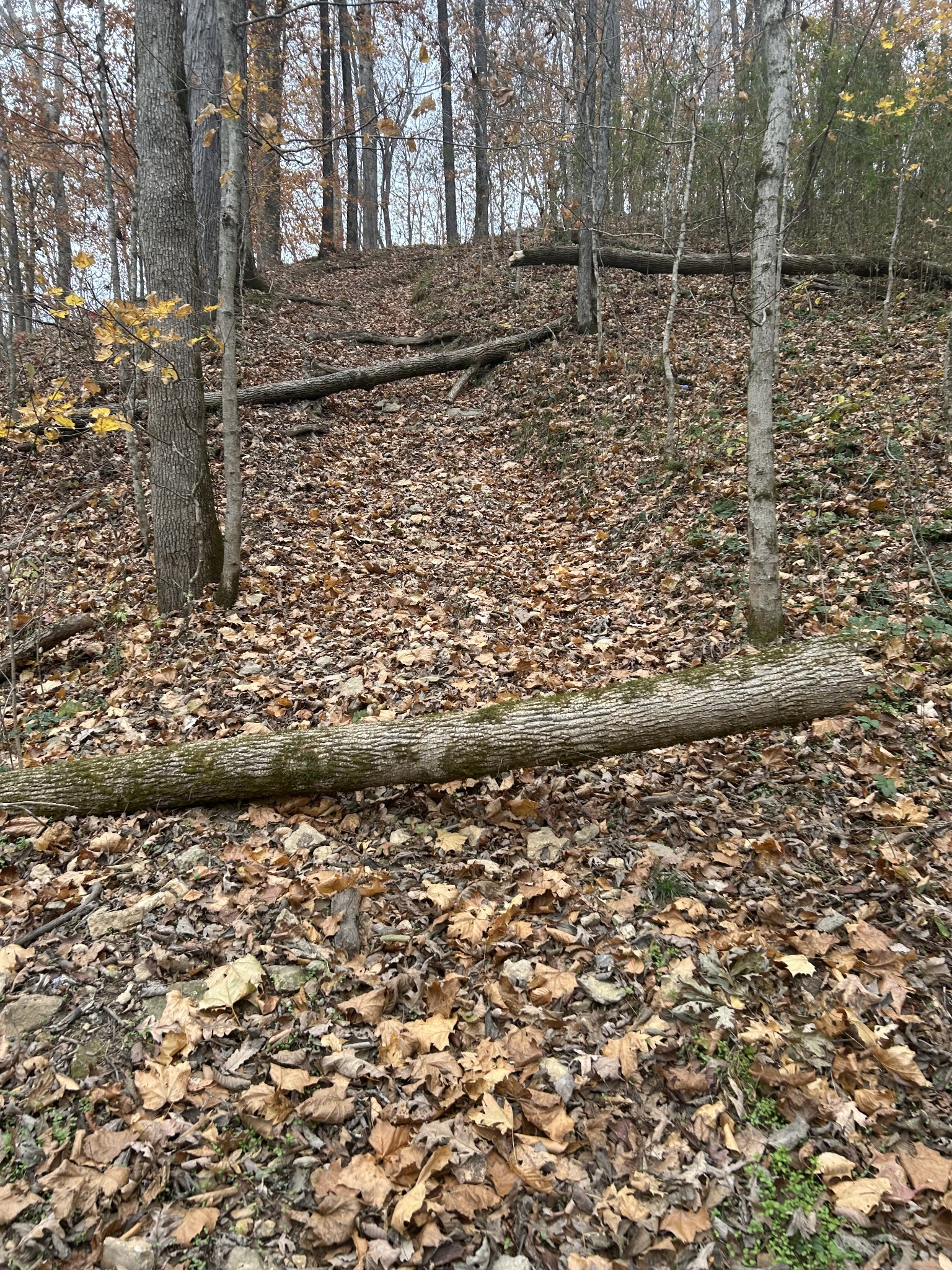 0 Red Boiling Road  Springs