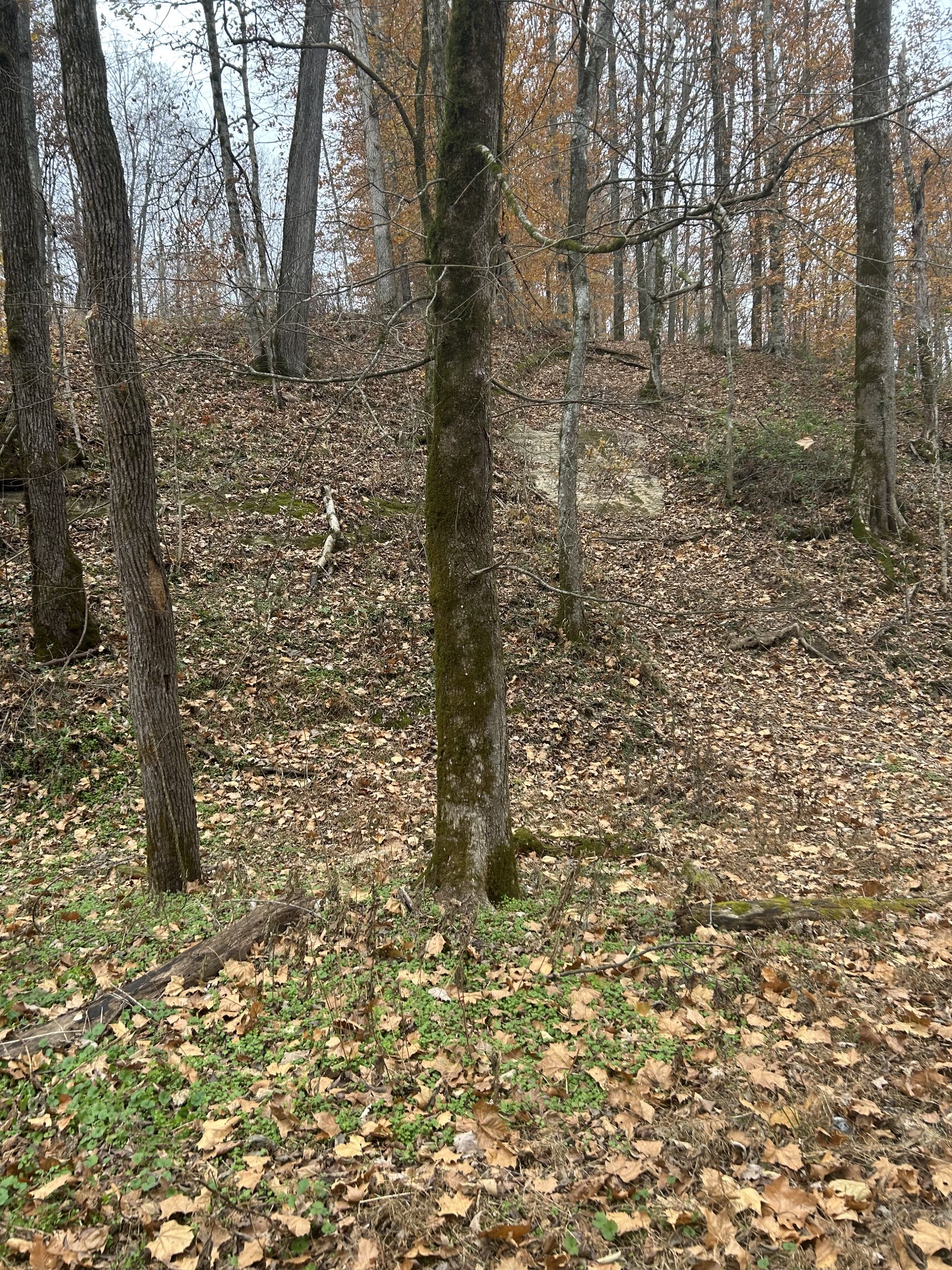 0 Red Boiling Road  Springs