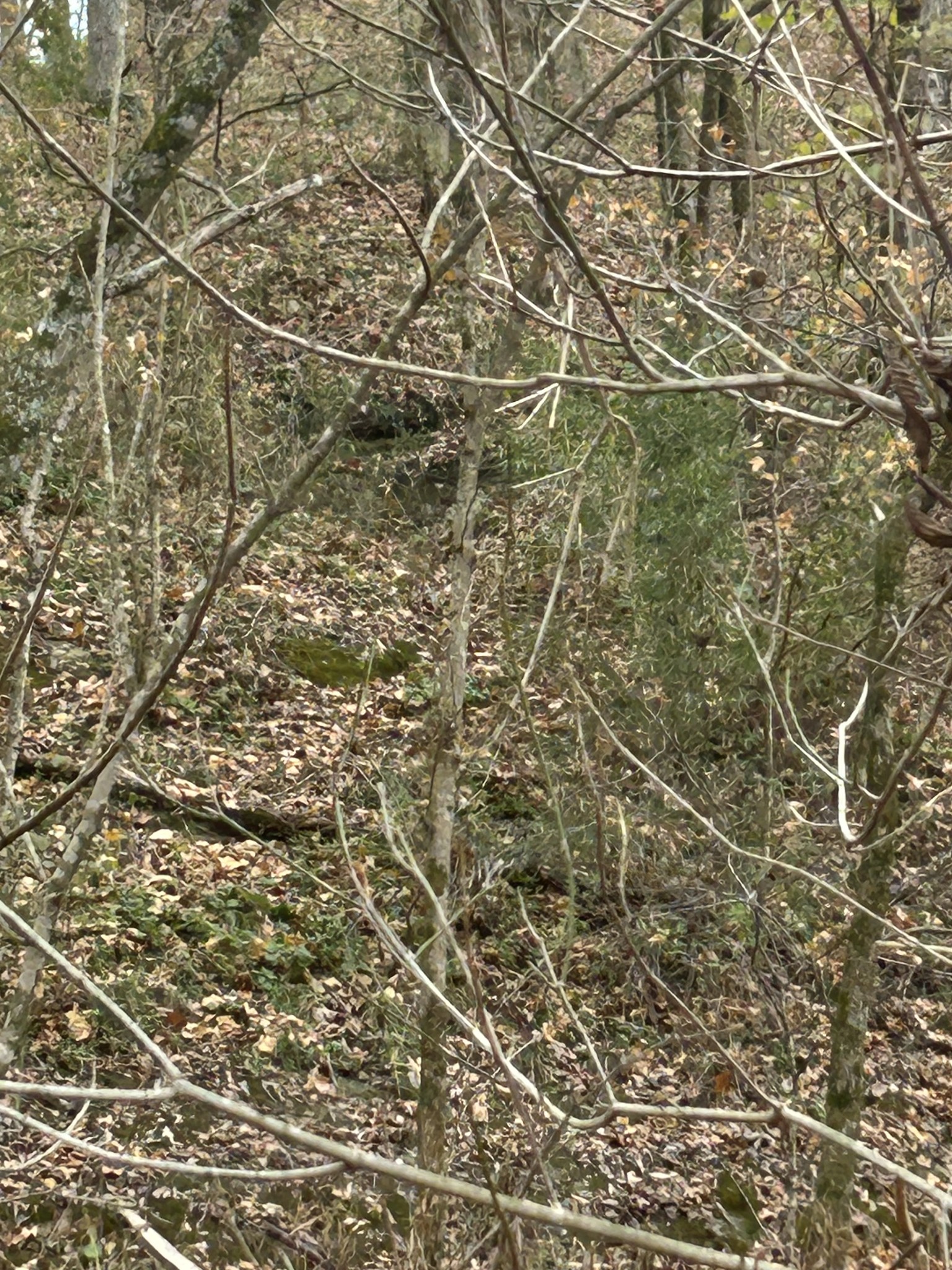 0 Red Boiling Road  Springs