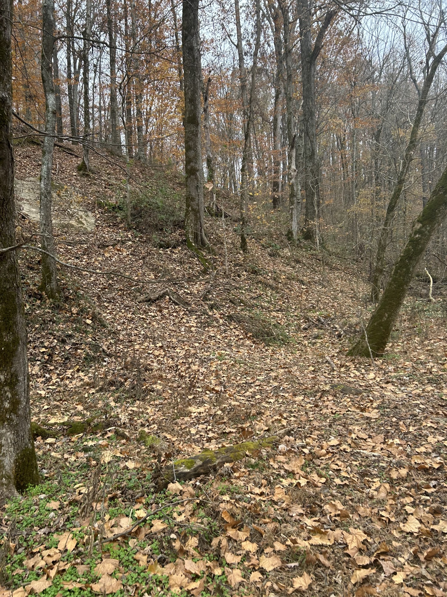 0 Red Boiling Road  Springs