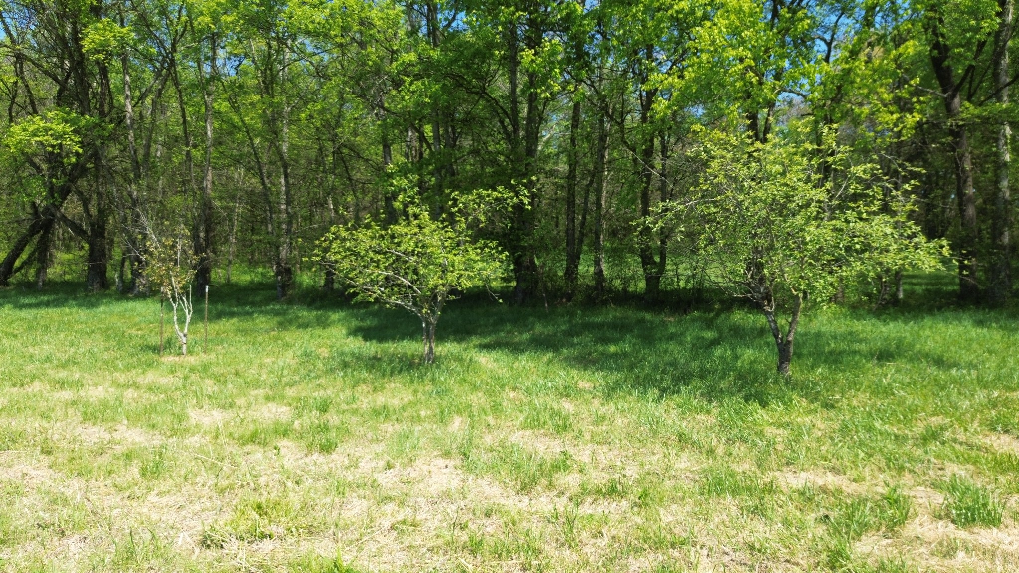 2253 Buckeye Loop Rd