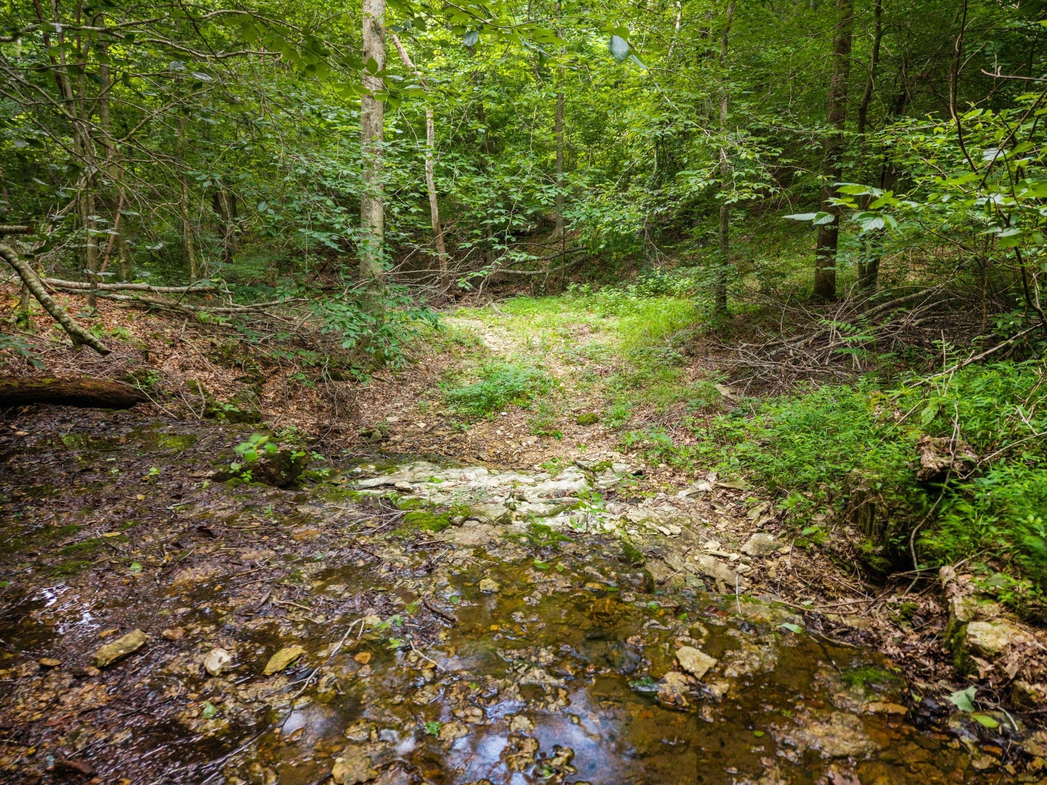 68 Clure Brown Rd