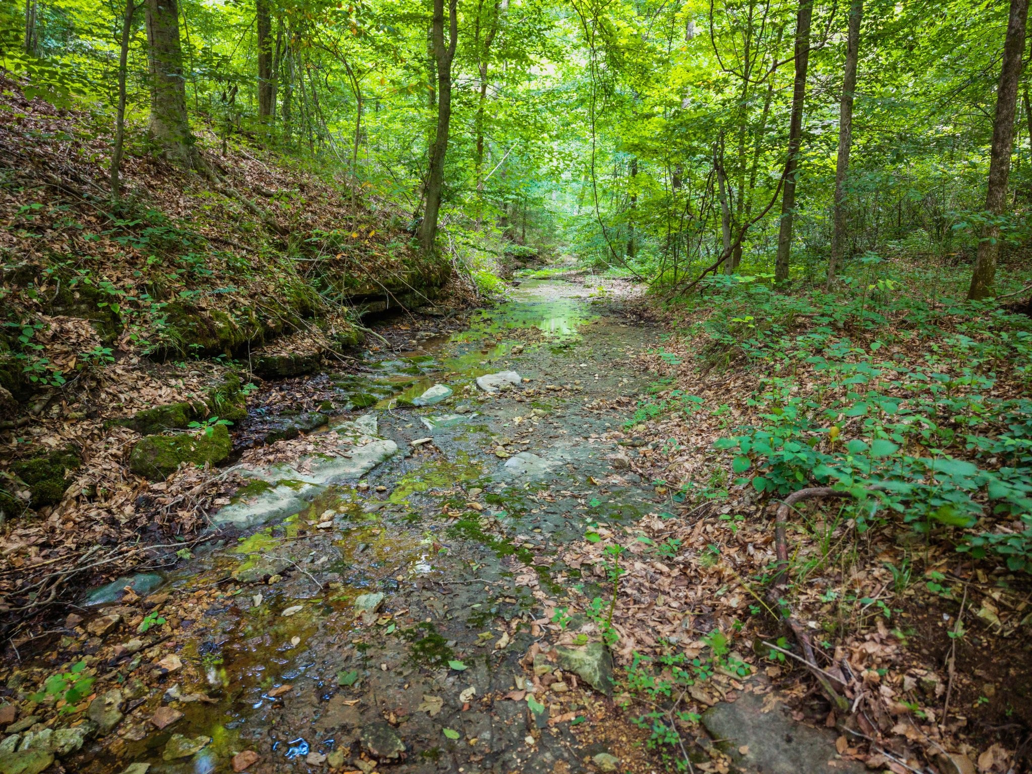68 Clure Brown Rd
