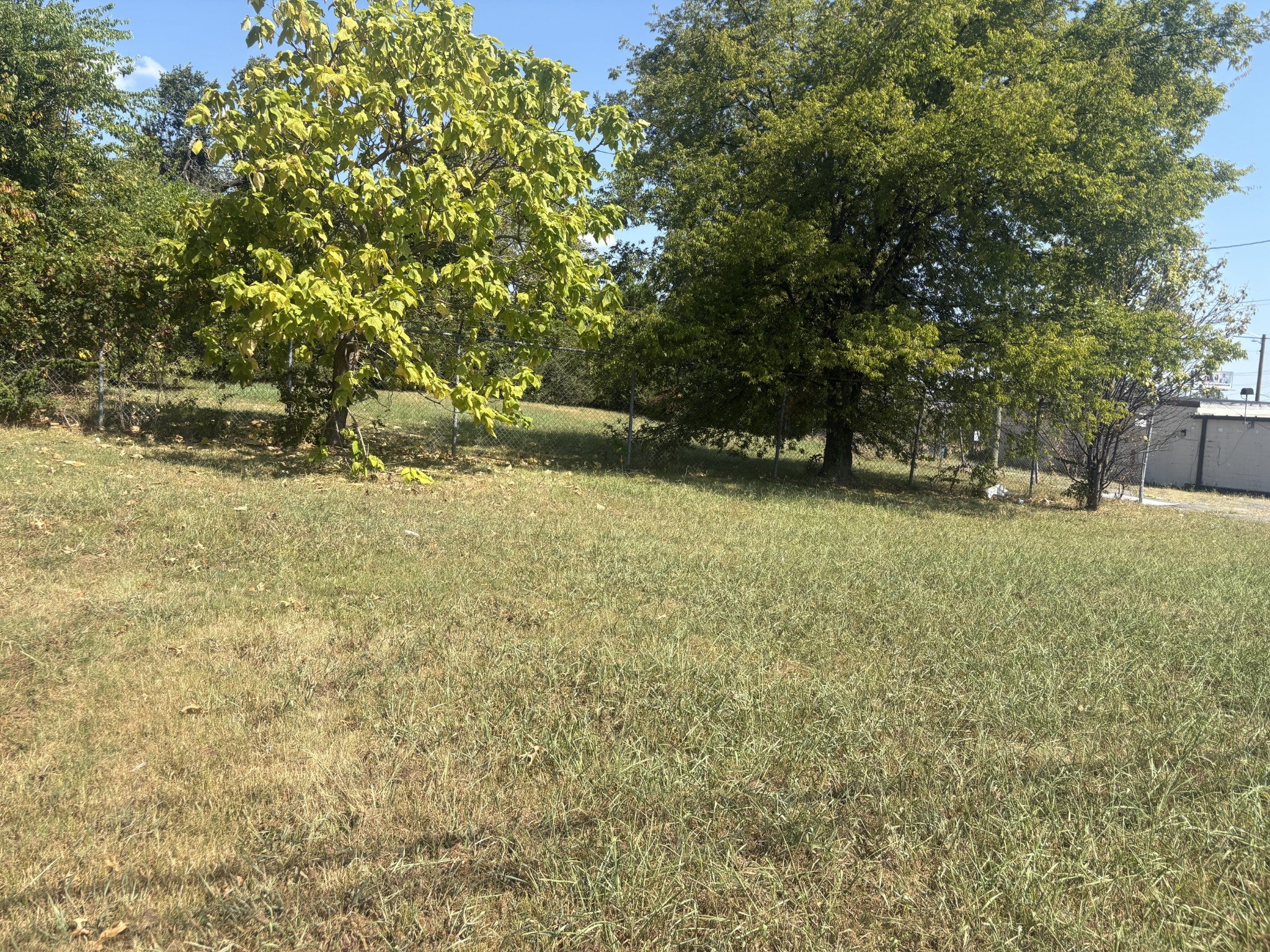 lot for sale in Nashville, TN 37216, 1019 Thomas Ave Open grassy lot with a large shade tree and a chain link fence along the far edge