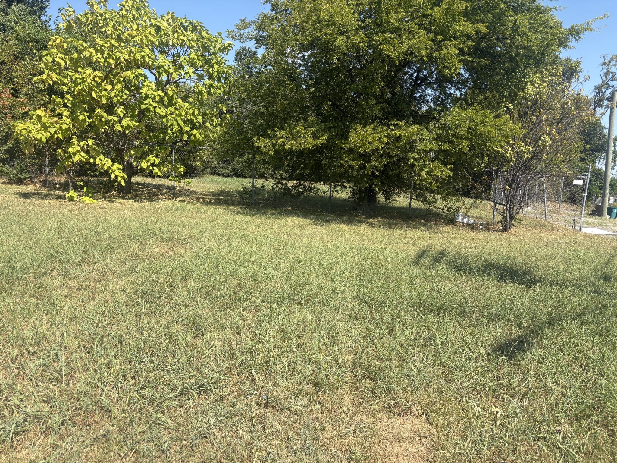 lot for sale in Nashville, TN 37216, 1019 Thomas Ave Grassy lot with a tree on the left and a chain link fence running along the back boundary