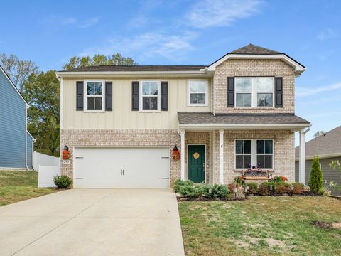 252 Brook Ave White House TN 37188