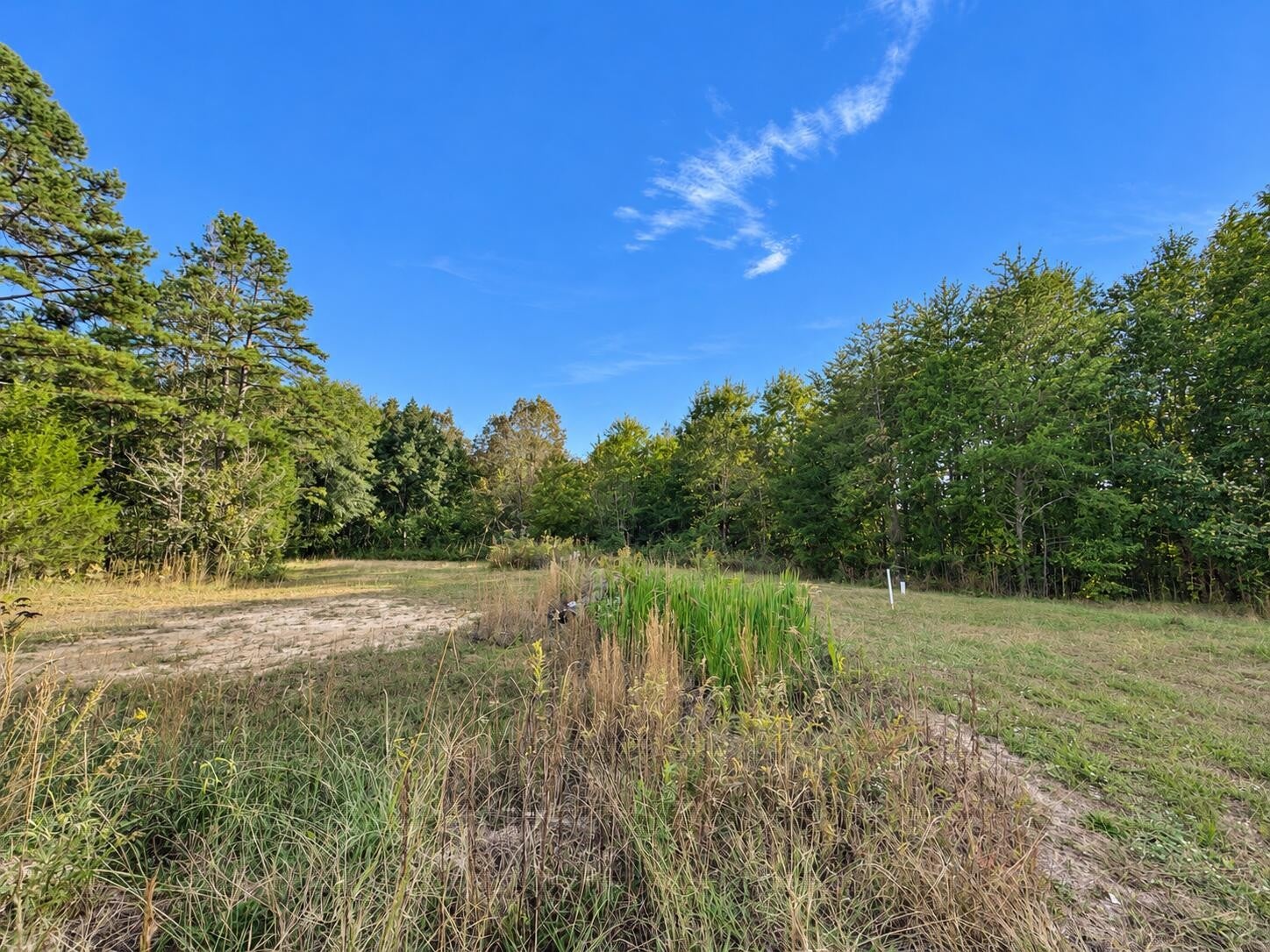 28831 State Highway 58 N