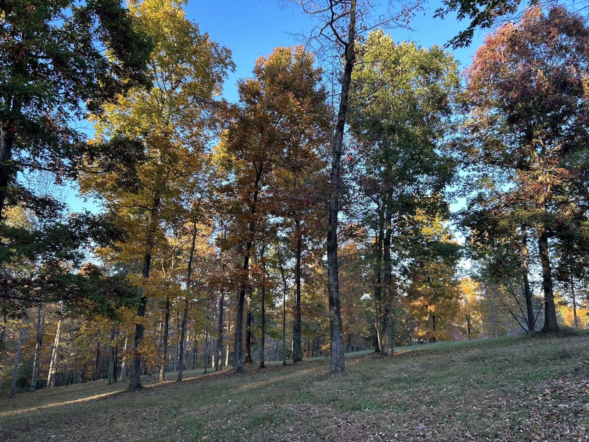 7850 W Lick Creek Rd