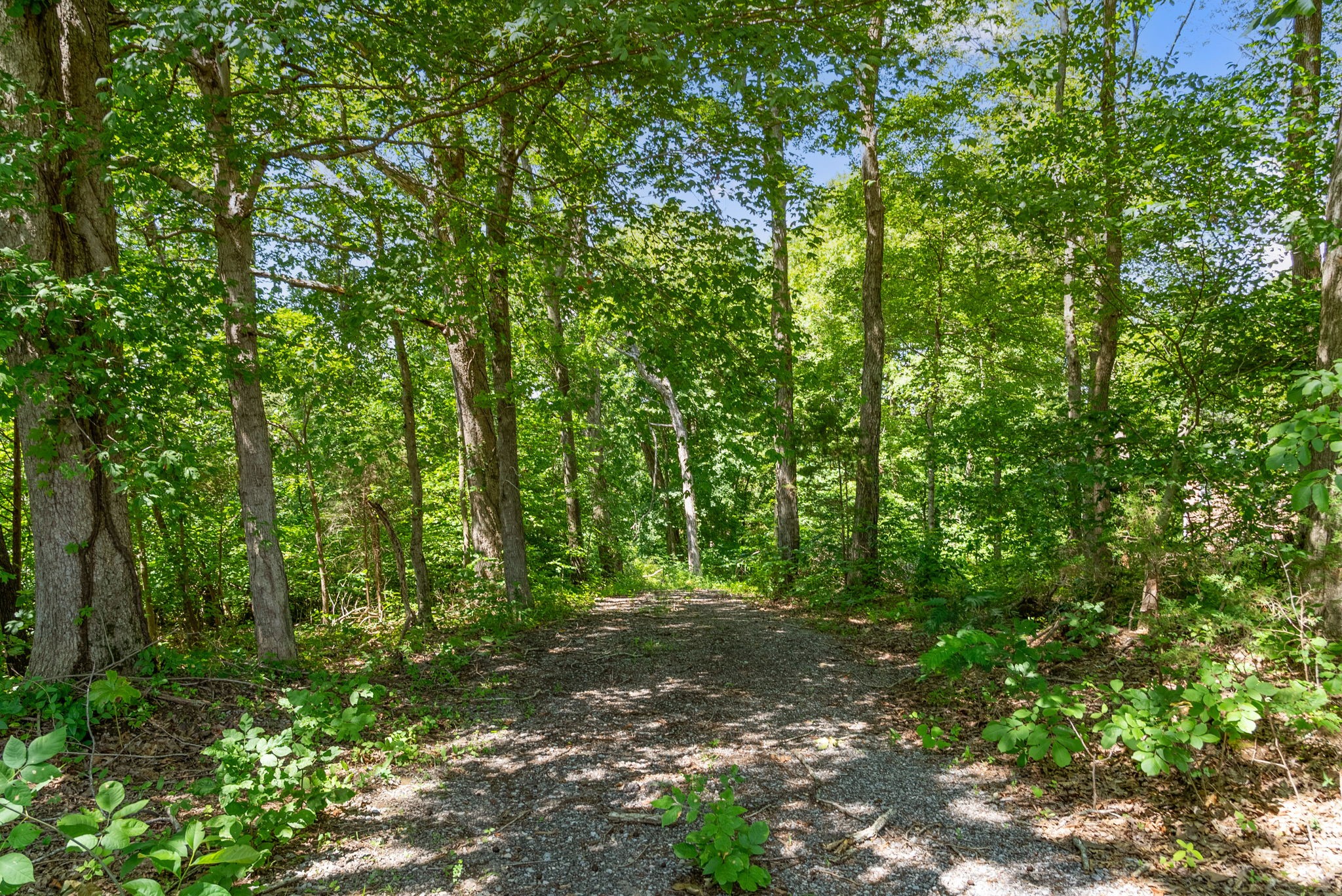 0 Old Clks Springfield Rd